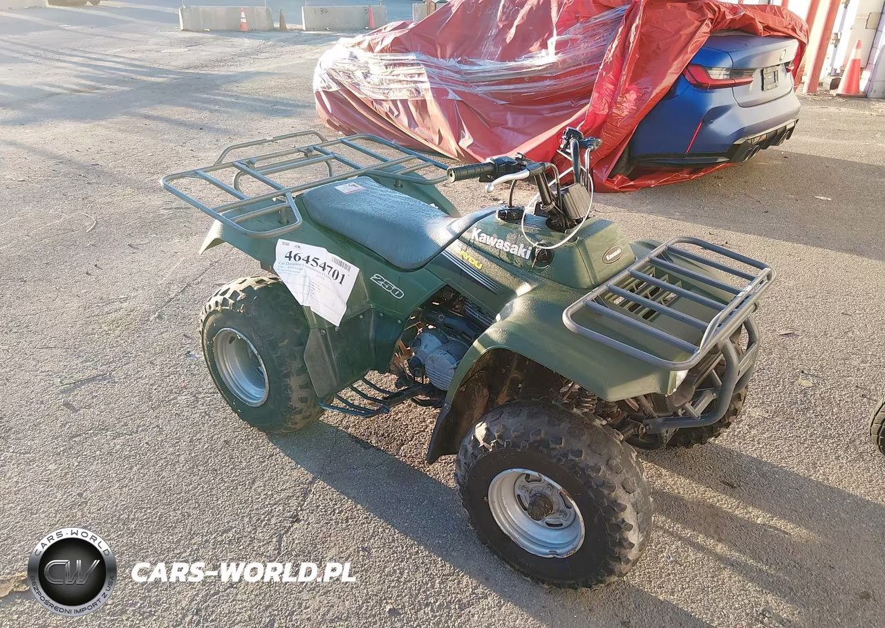 2006 Kawasaki Klf250 A Bayou VIN:JKALFMA116B553841 - 2