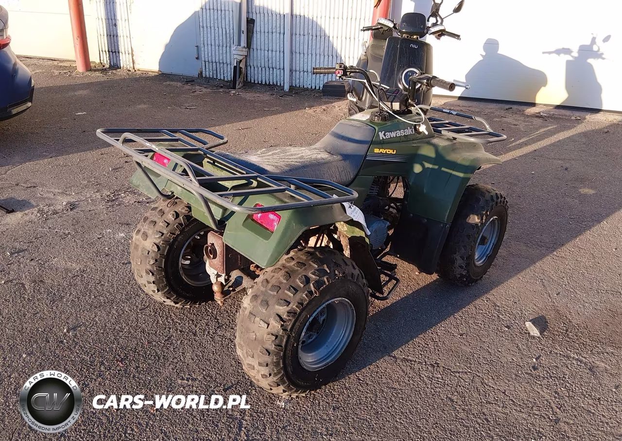2006 Kawasaki Klf250 A Bayou VIN:JKALFMA116B553841 - 3