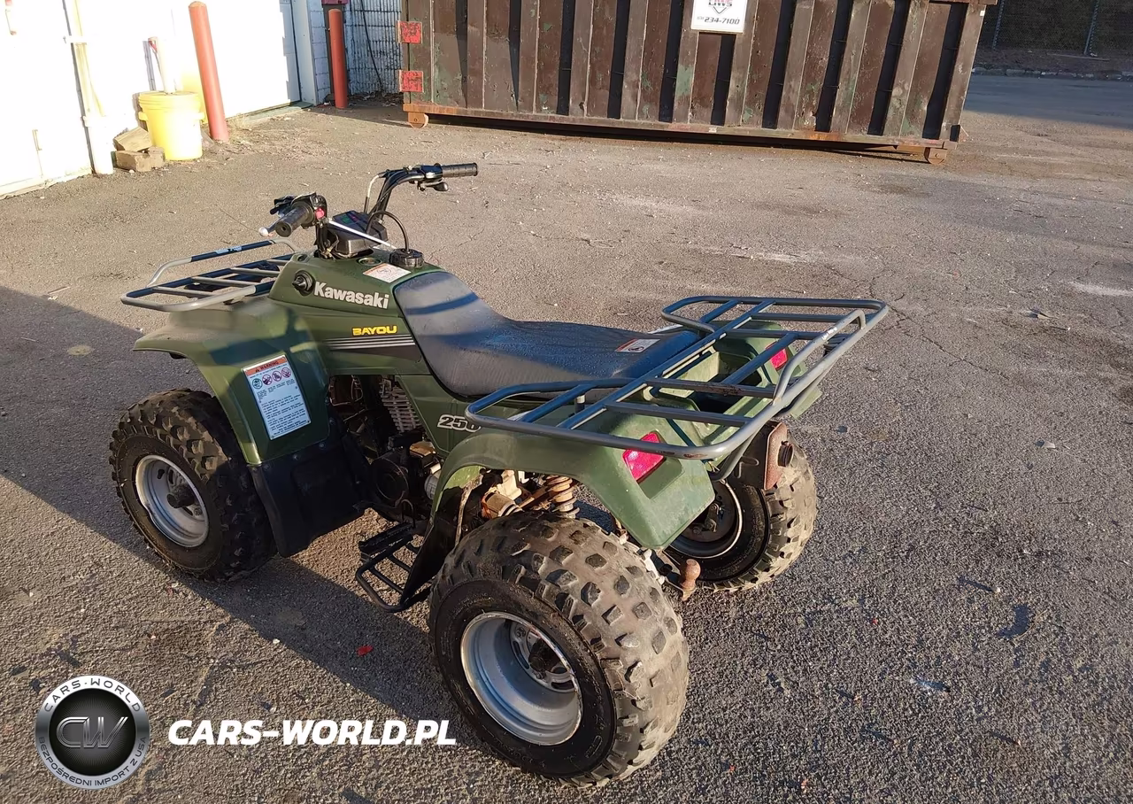 2006 Kawasaki Klf250 A Bayou VIN:JKALFMA116B553841 - 4