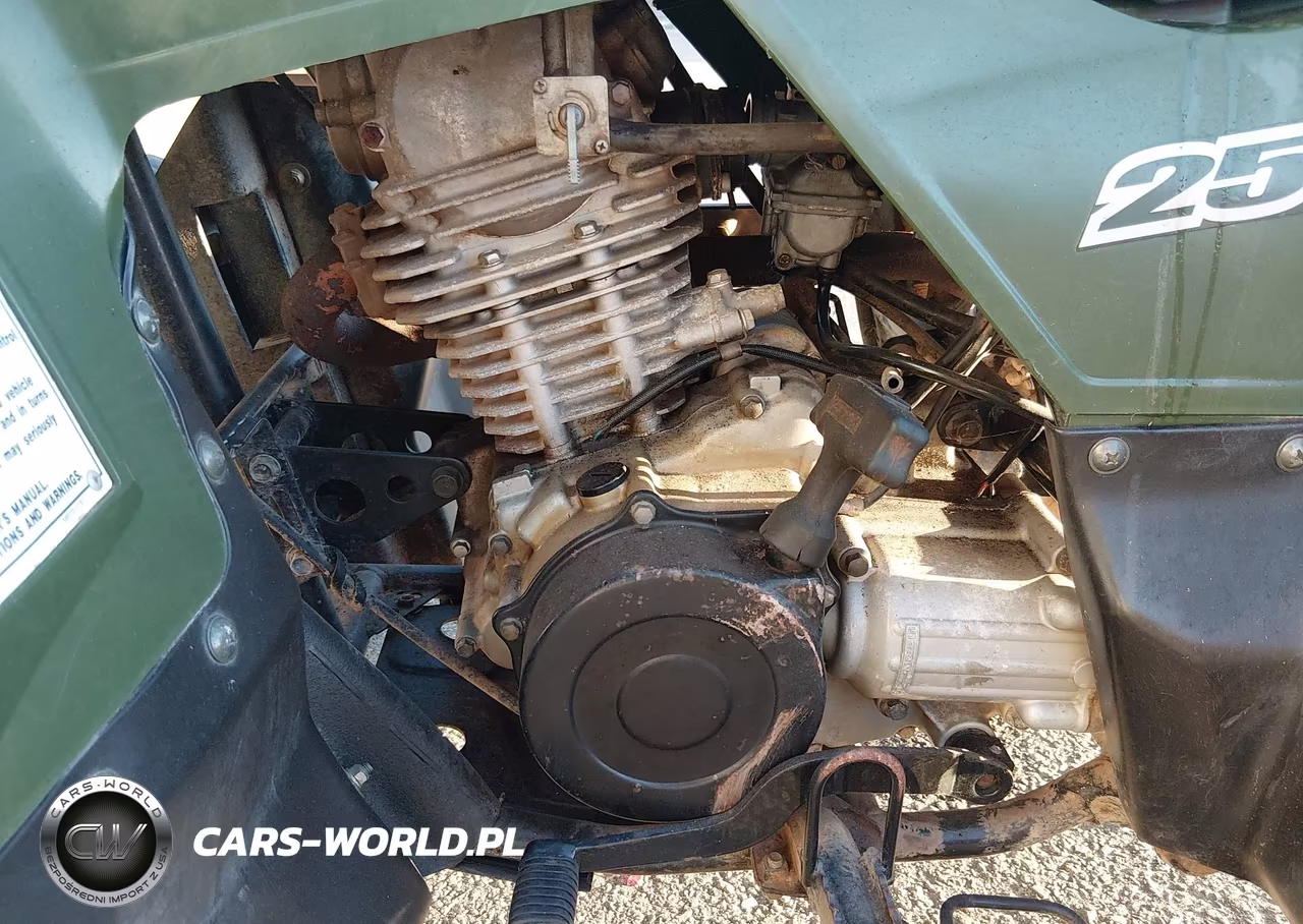 2006 Kawasaki Klf250 A Bayou VIN:JKALFMA116B553841 - 8