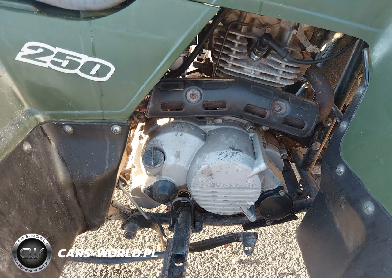 2006 Kawasaki Klf250 A Bayou VIN:JKALFMA116B553841 - 9