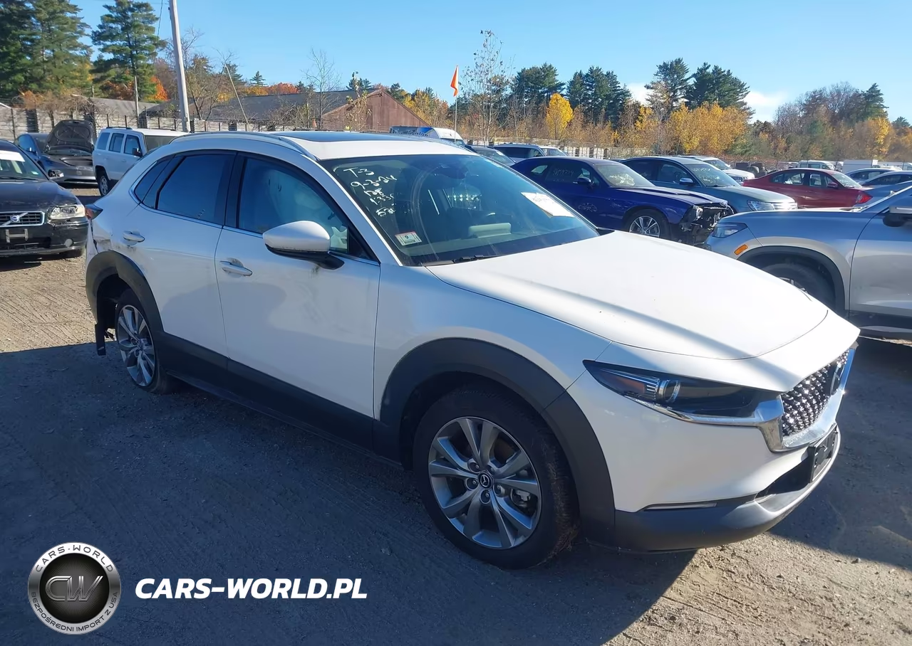 2022 Mazda Cx-30 Premium VIN:3MVDMBDL7NM444940 - 1