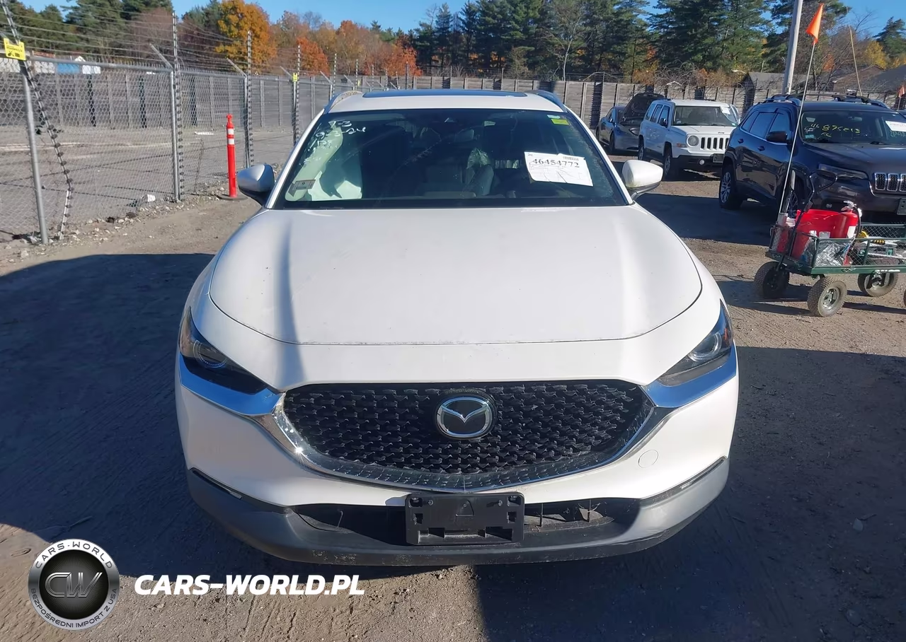 2022 Mazda Cx-30 Premium VIN:3MVDMBDL7NM444940 - 12