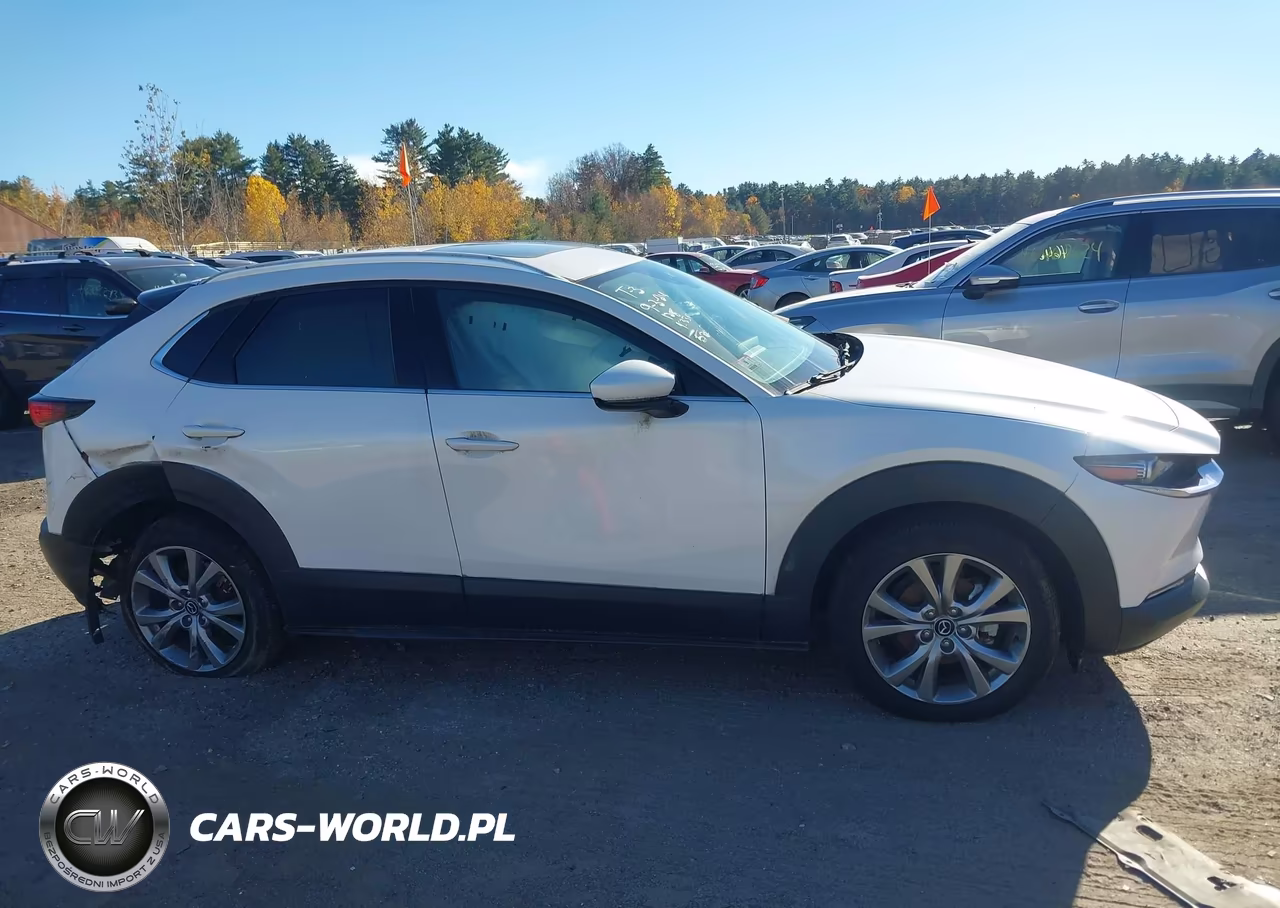 2022 Mazda Cx-30 Premium VIN:3MVDMBDL7NM444940 - 13