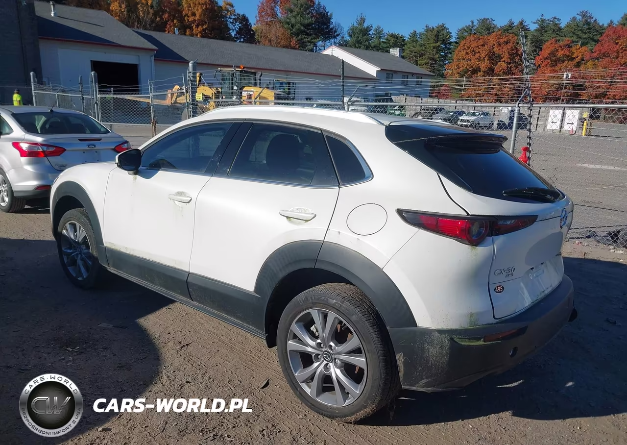 2022 Mazda Cx-30 Premium VIN:3MVDMBDL7NM444940 - 3