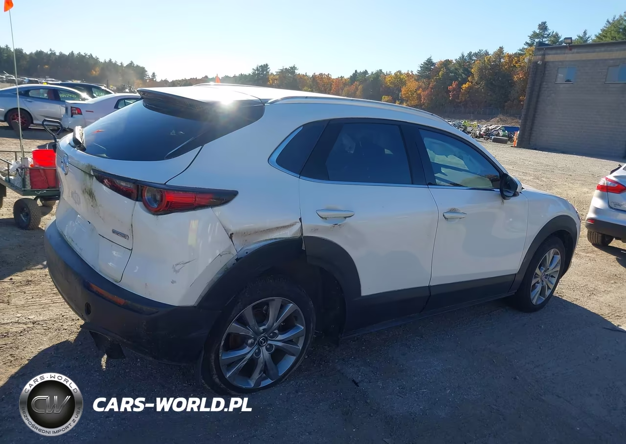 2022 Mazda Cx-30 Premium VIN:3MVDMBDL7NM444940 - 4