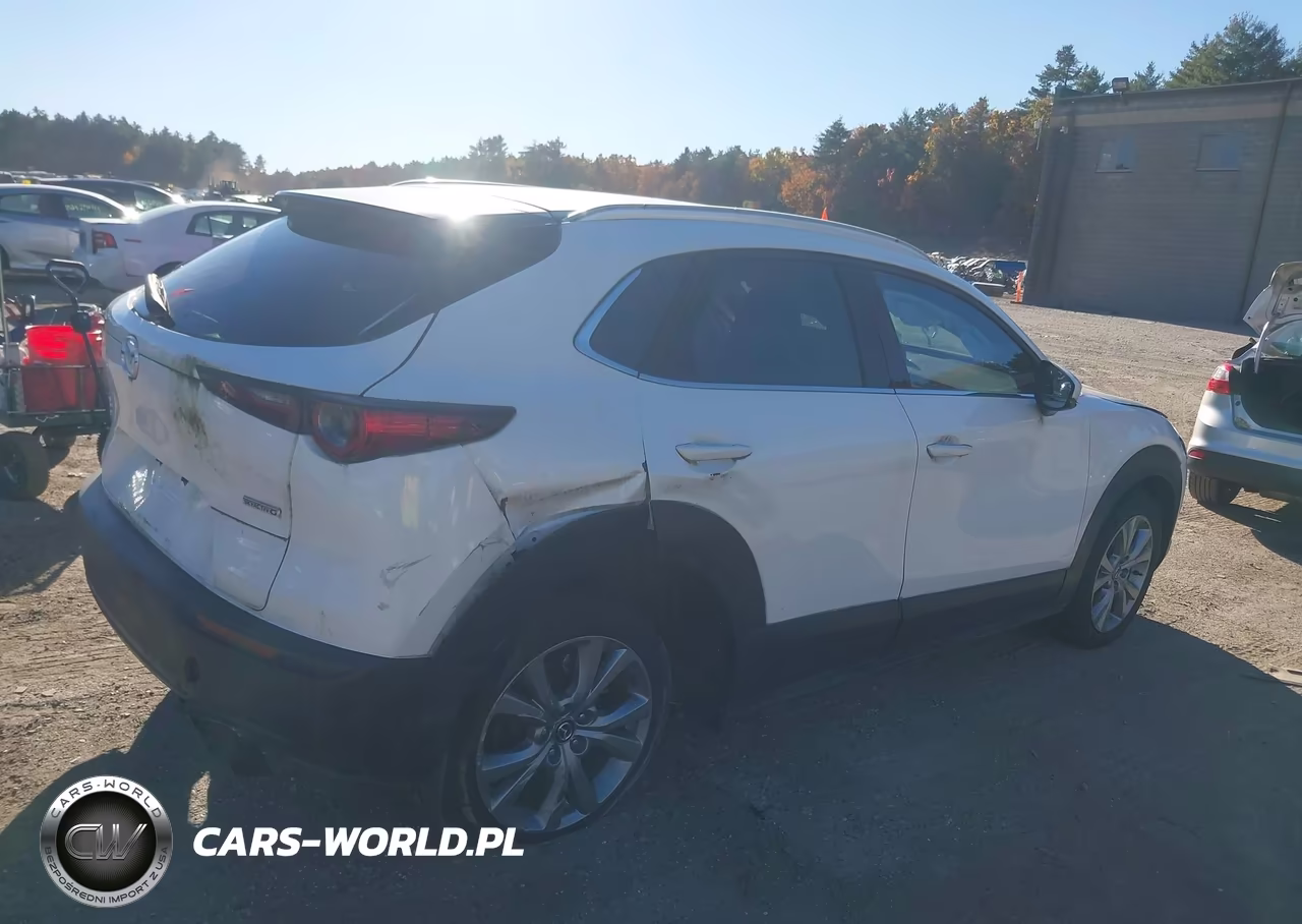 2022 Mazda Cx-30 Premium VIN:3MVDMBDL7NM444940 - 6