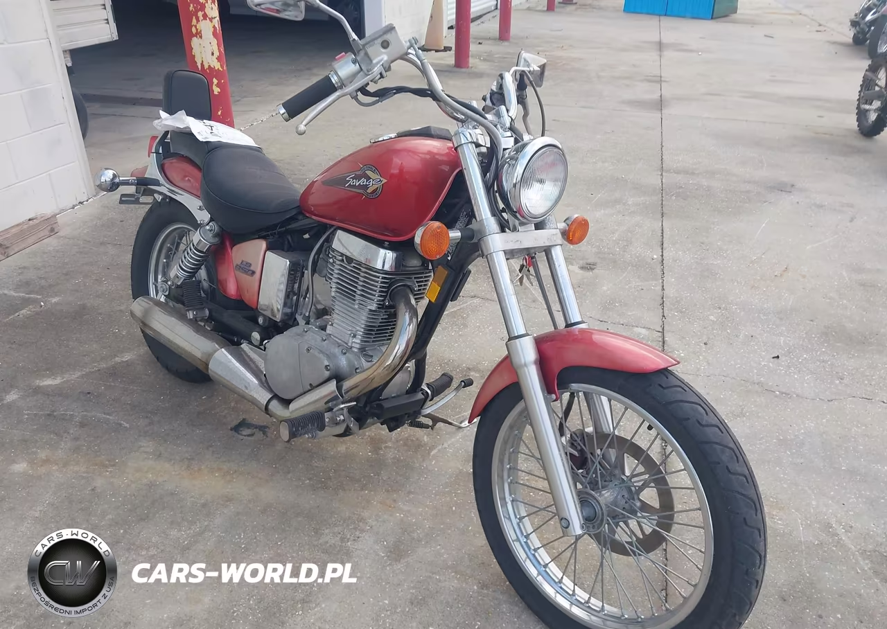 1996 Suzuki Ls650 P – zdjęcie 1 z 14