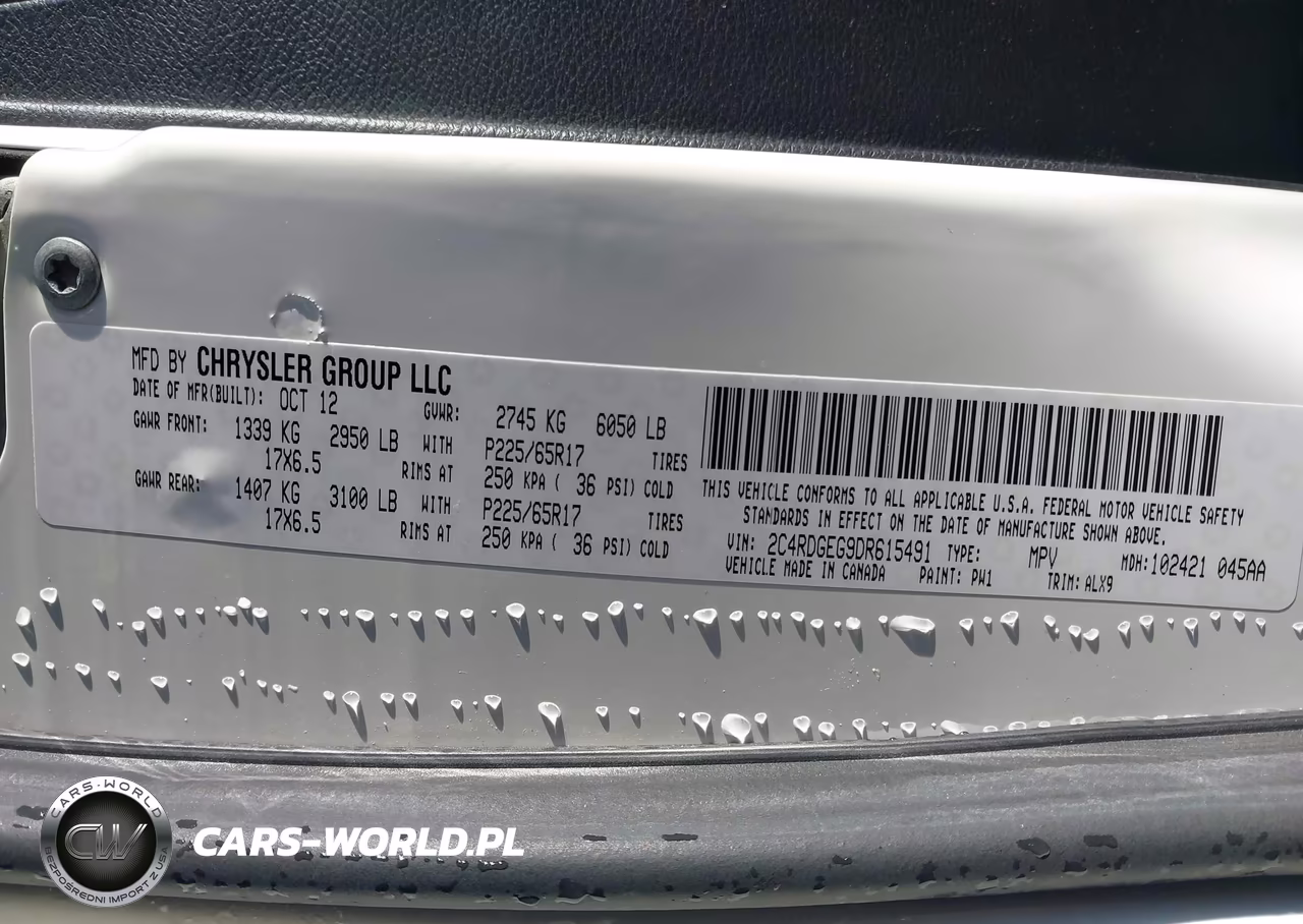 2013 Dodge Grand Caravan R-T VIN:2C4RDGEG9DR615491 - 9