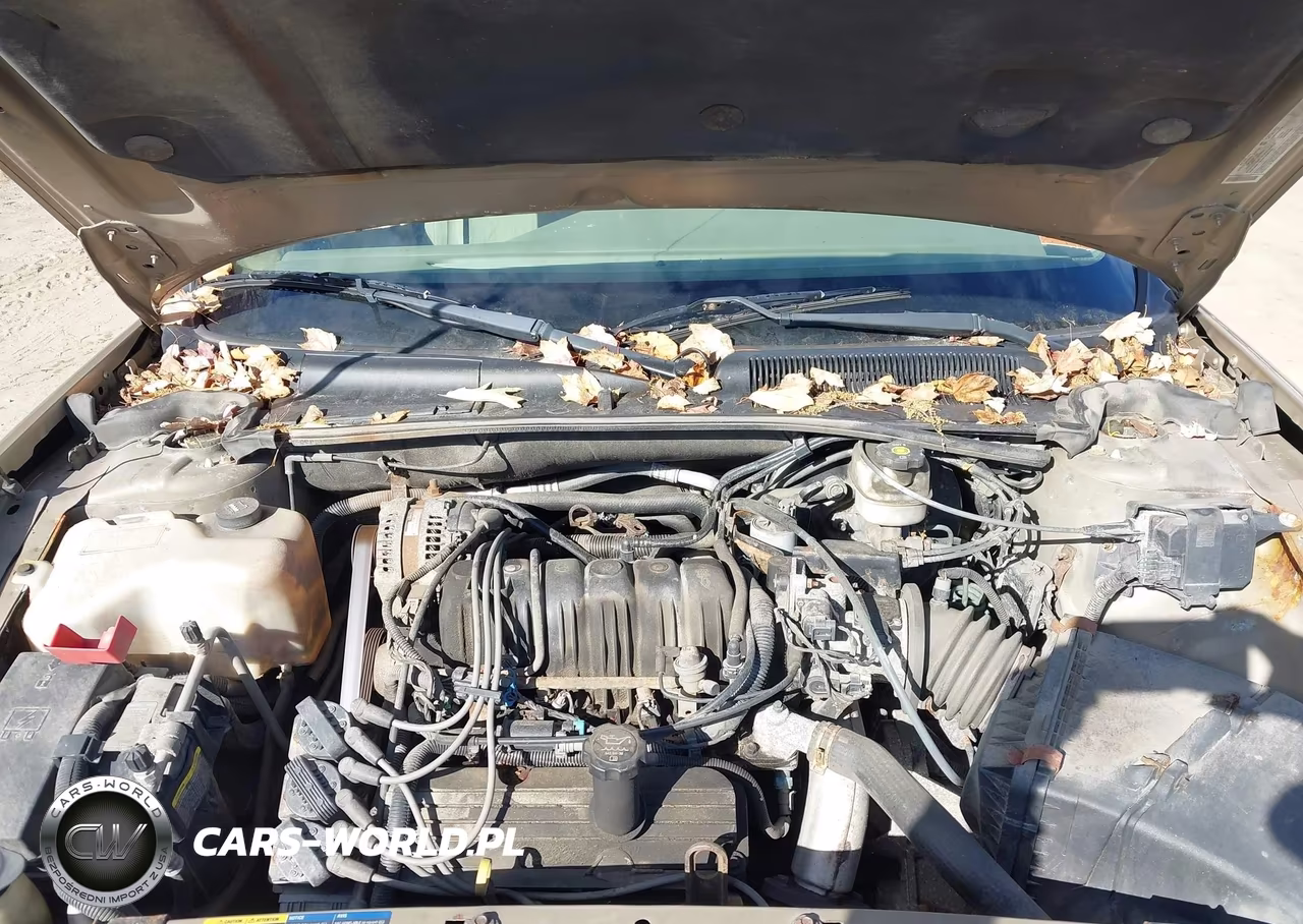2005 Buick Lesabre Custom VIN:1G4HP52K75U184455 - 10