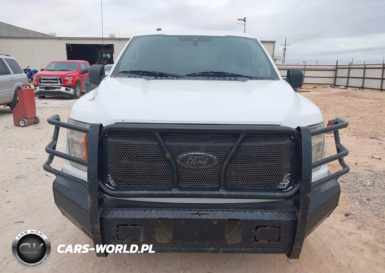 2019 Ford F-150 Xl VIN:1FTFX1E52KKC67972 - 12