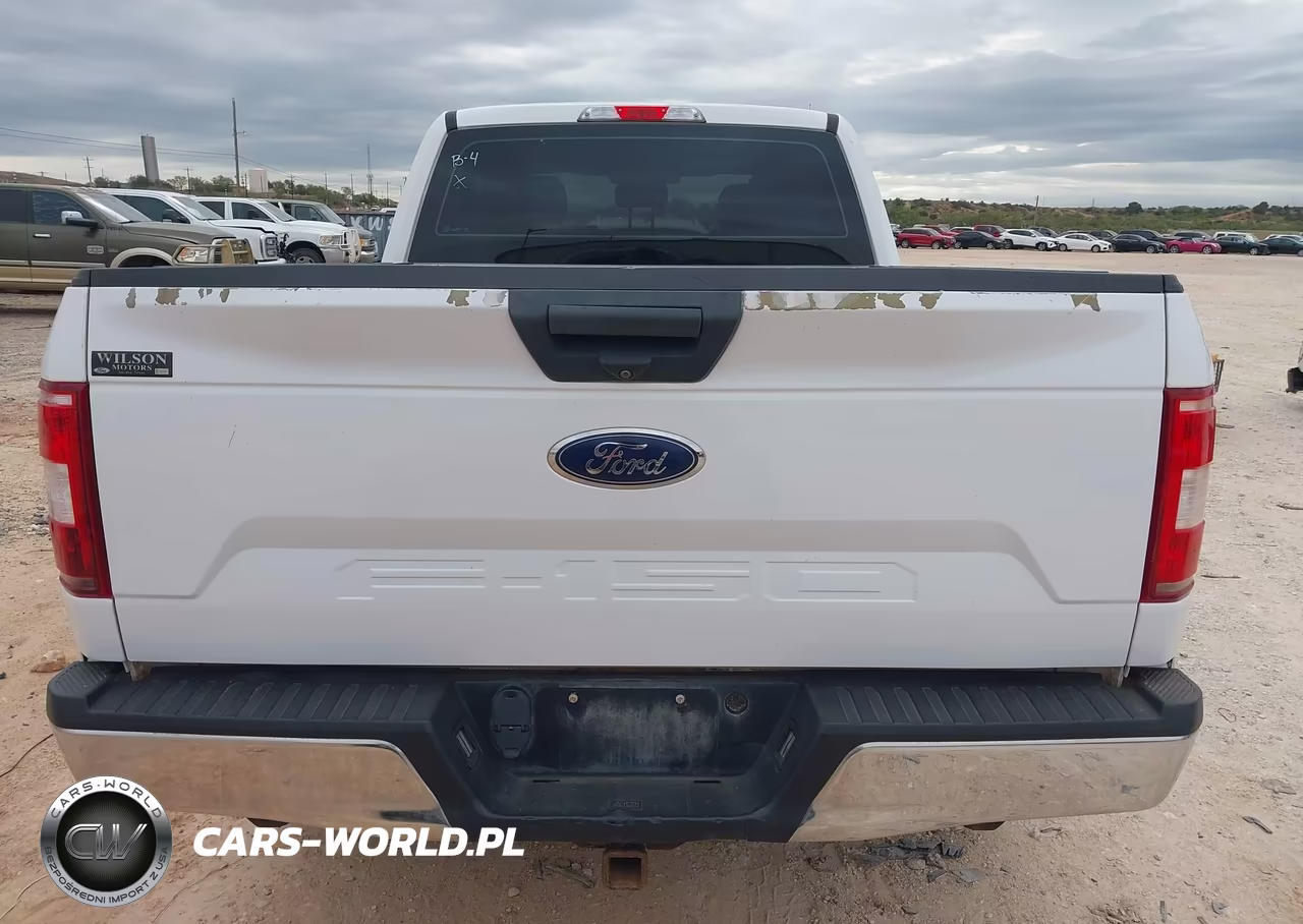 2019 Ford F-150 Xl VIN:1FTFX1E52KKC67972 - 16