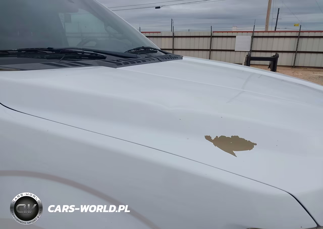 2019 Ford F-150 Xl VIN:1FTFX1E52KKC67972 - 6
