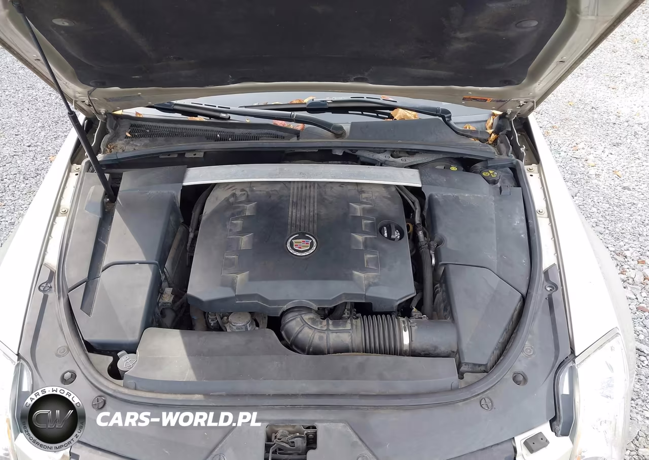 2013 Cadillac Cts Premium VIN:1G6DS1E33D0148009 - 10
