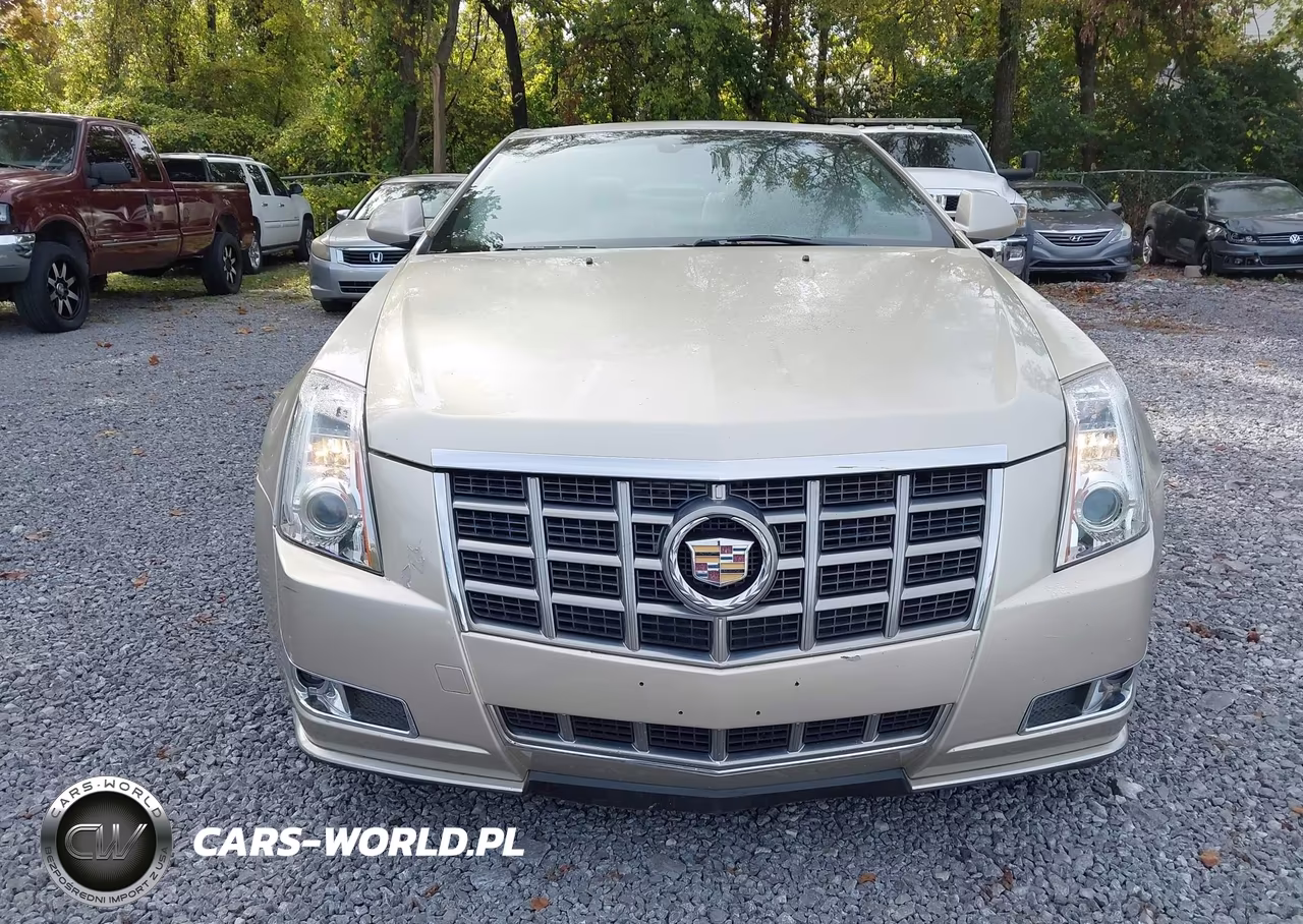 2013 Cadillac Cts Premium VIN:1G6DS1E33D0148009 - 12