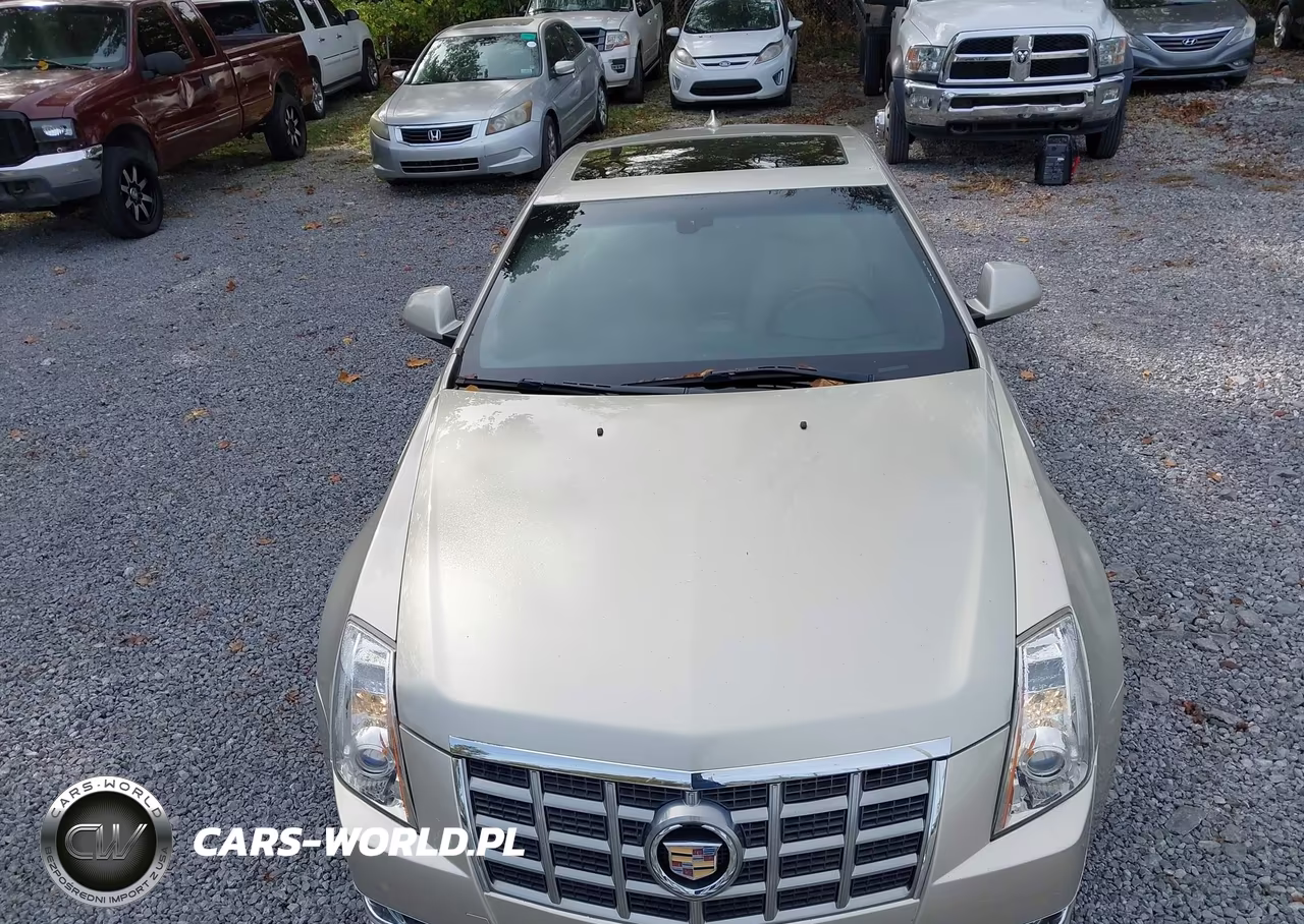 2013 Cadillac Cts Premium VIN:1G6DS1E33D0148009 - 16