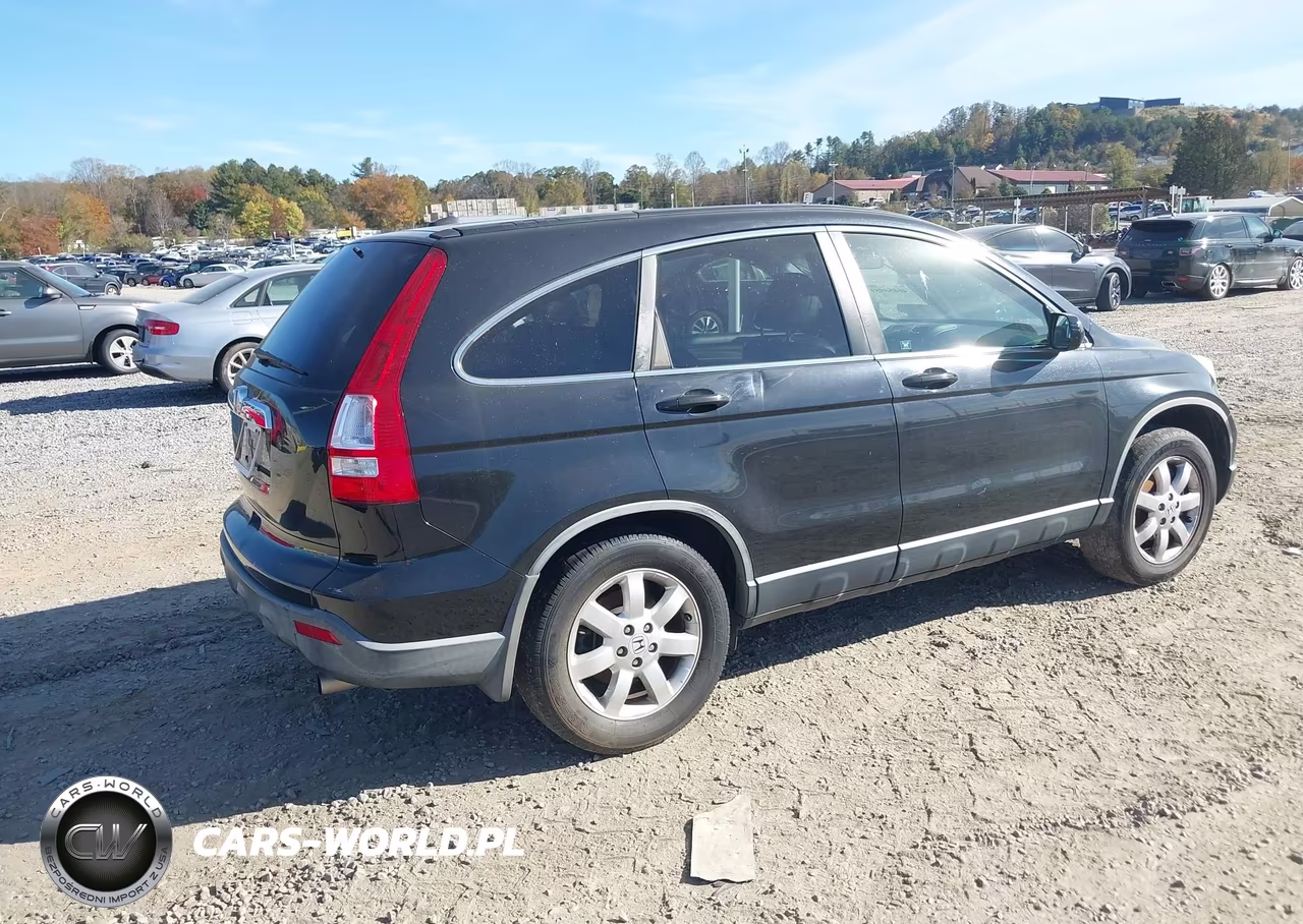 2008 Honda Cr-V Ex-L VIN:JHLRE38738C044003 - 4