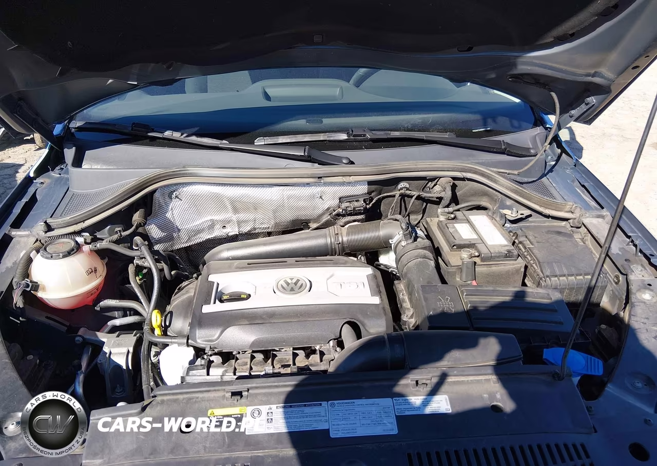 2017 Volkswagen Tiguan 2.0T-2.0T S VIN:WVGAV7AX5HK054481 - 10