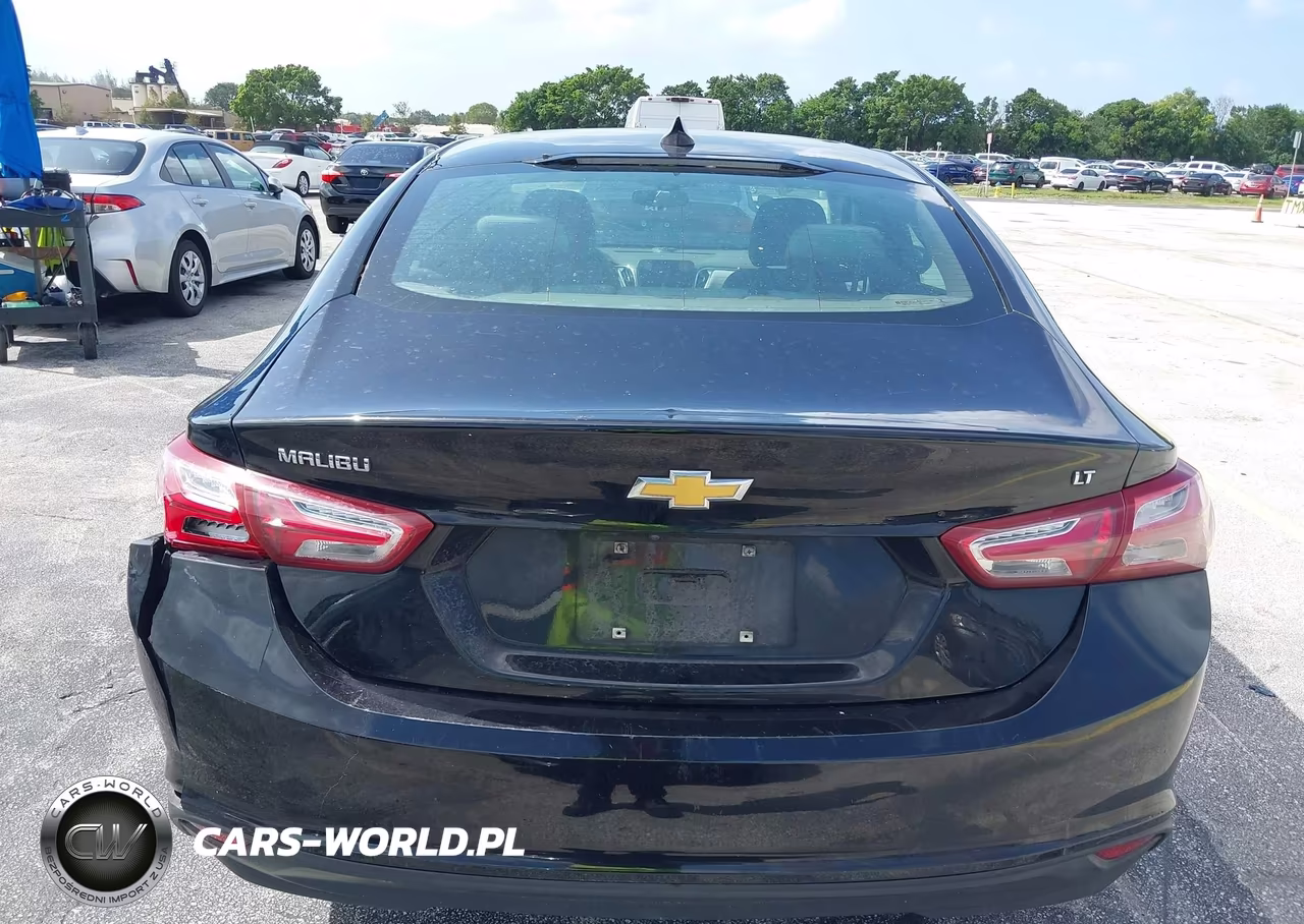2019 Chevrolet Malibu Lt VIN:1G1ZD5ST8KF107600 - 16