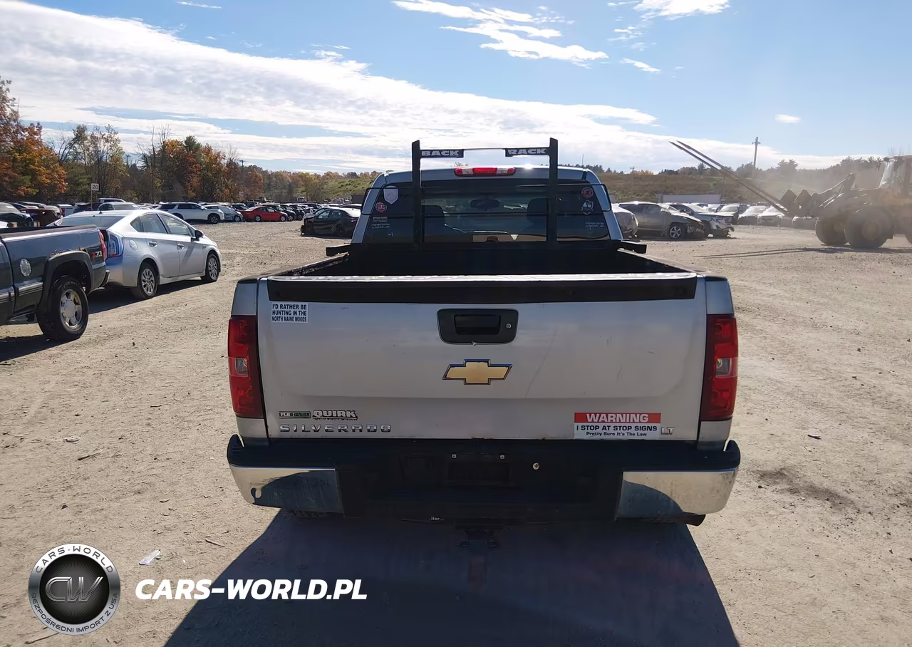 2010 Chevrolet Silverado 1500 Lt VIN:1GCSKSEAXAZ121504 - 16