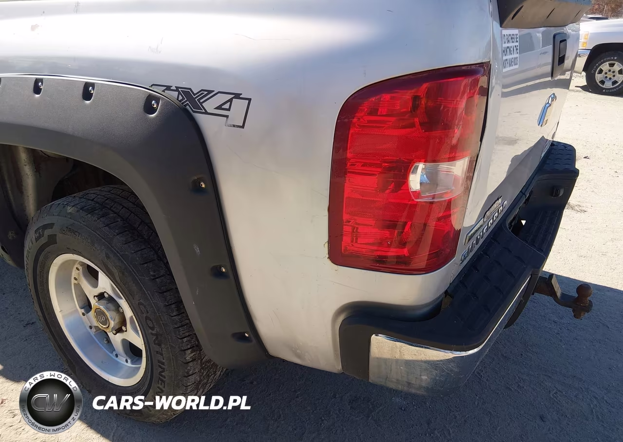 2010 Chevrolet Silverado 1500 Lt VIN:1GCSKSEAXAZ121504 - 6