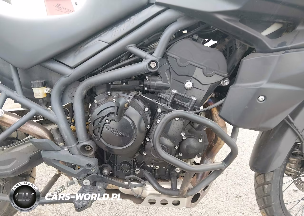2012 Triumph Motorcycle Tiger 800Xc Abs VIN:SMTE06BF9CJ524631 - 8