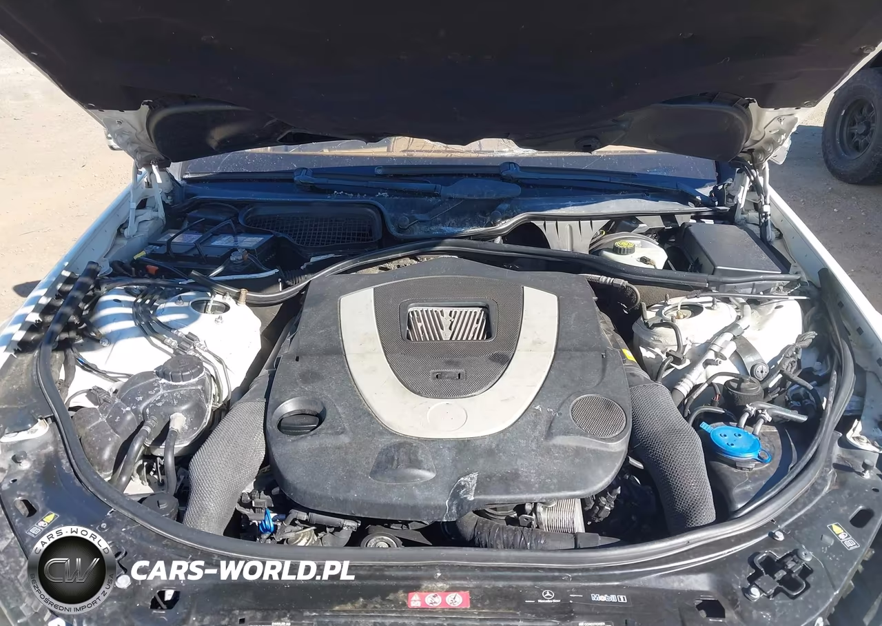 2010 Mercedes-Benz S 550 VIN:WDDNG7BB0AA350254 - 10