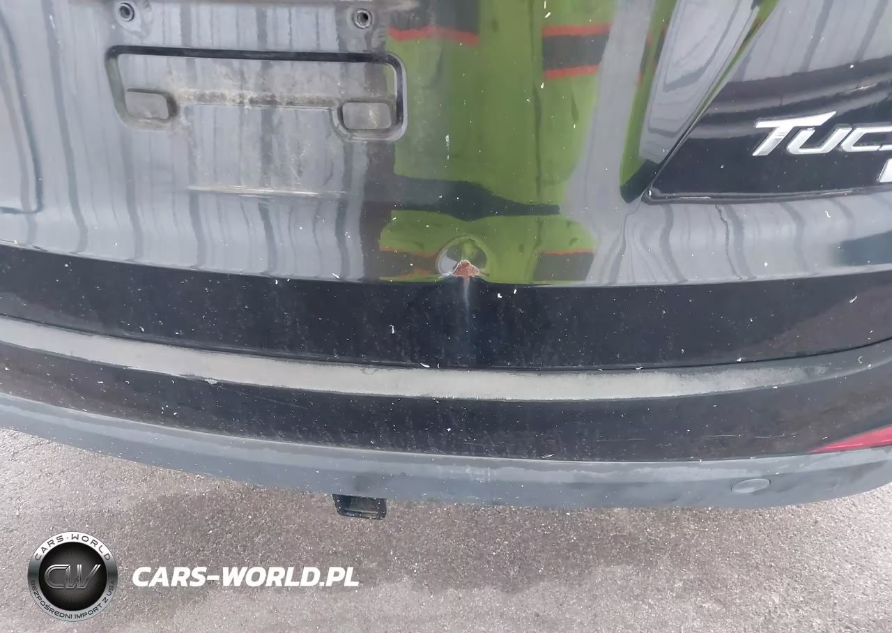 2013 Hyundai Tucson Limited VIN:KM8JU3AC1DU550417 - 6