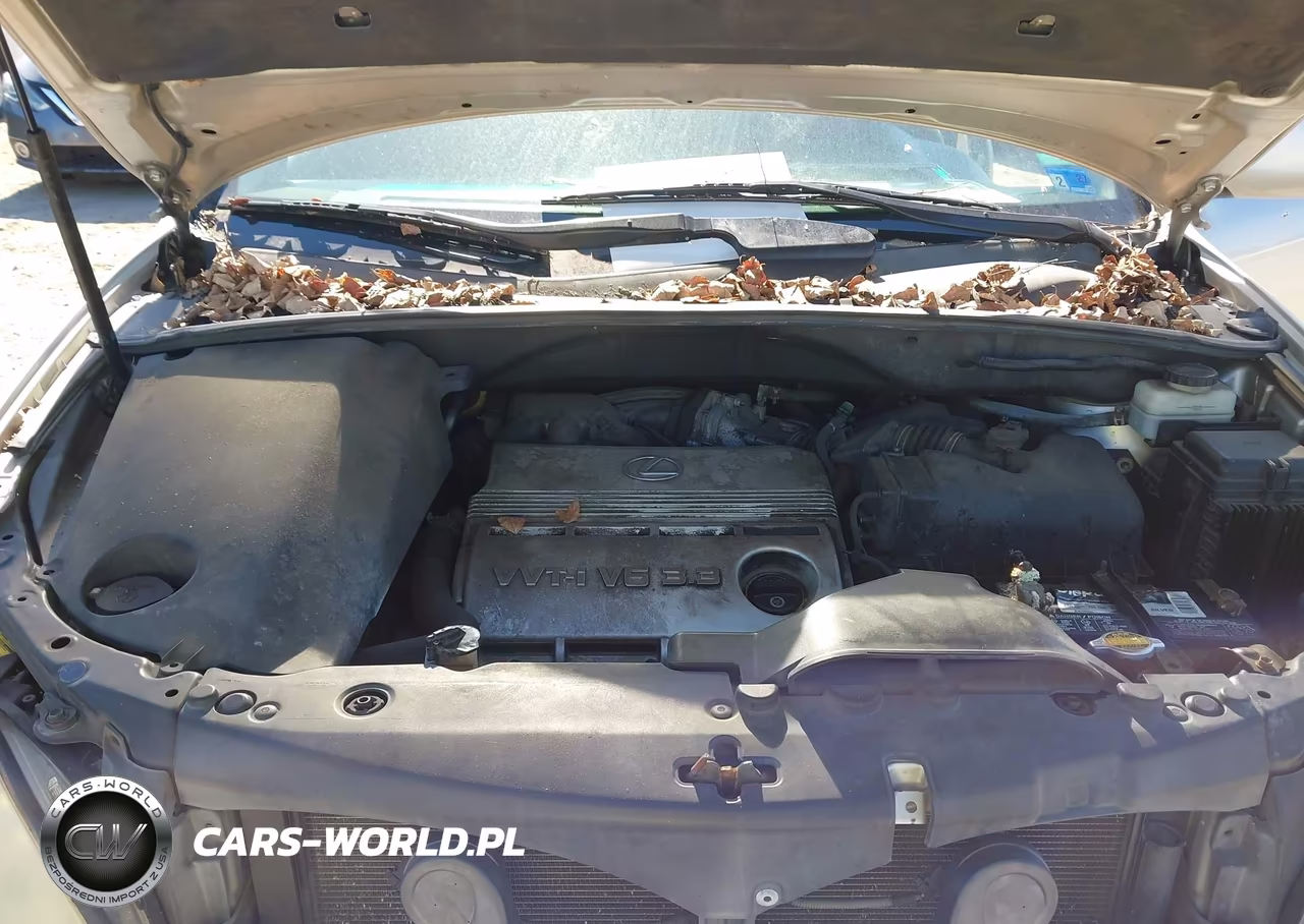 2005 Lexus Rx 330 VIN:2T2HA31U85C061835 - 10