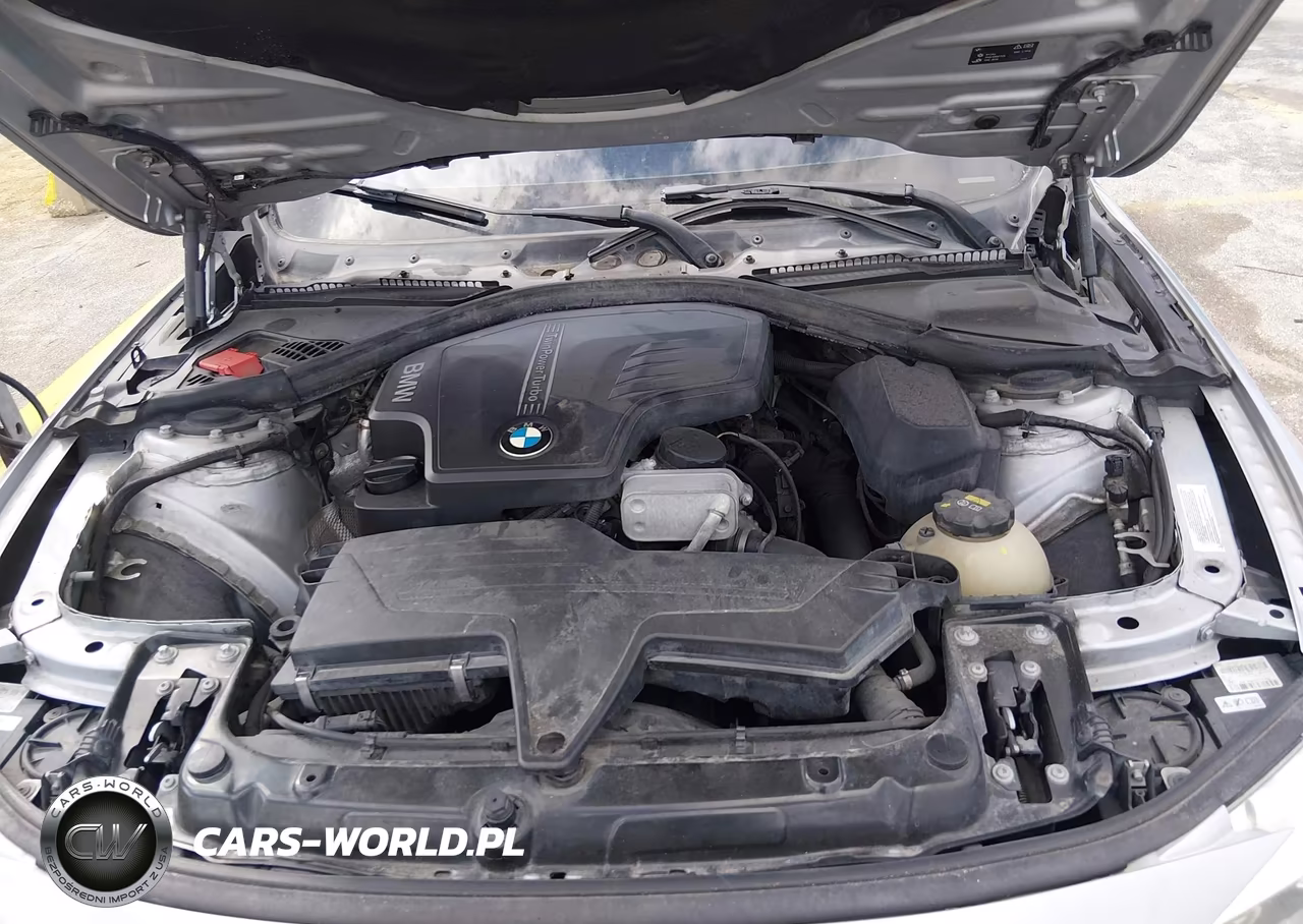 2016 BMW 428I Gran Coupe VIN:WBA4A9C56GG507235 - 10