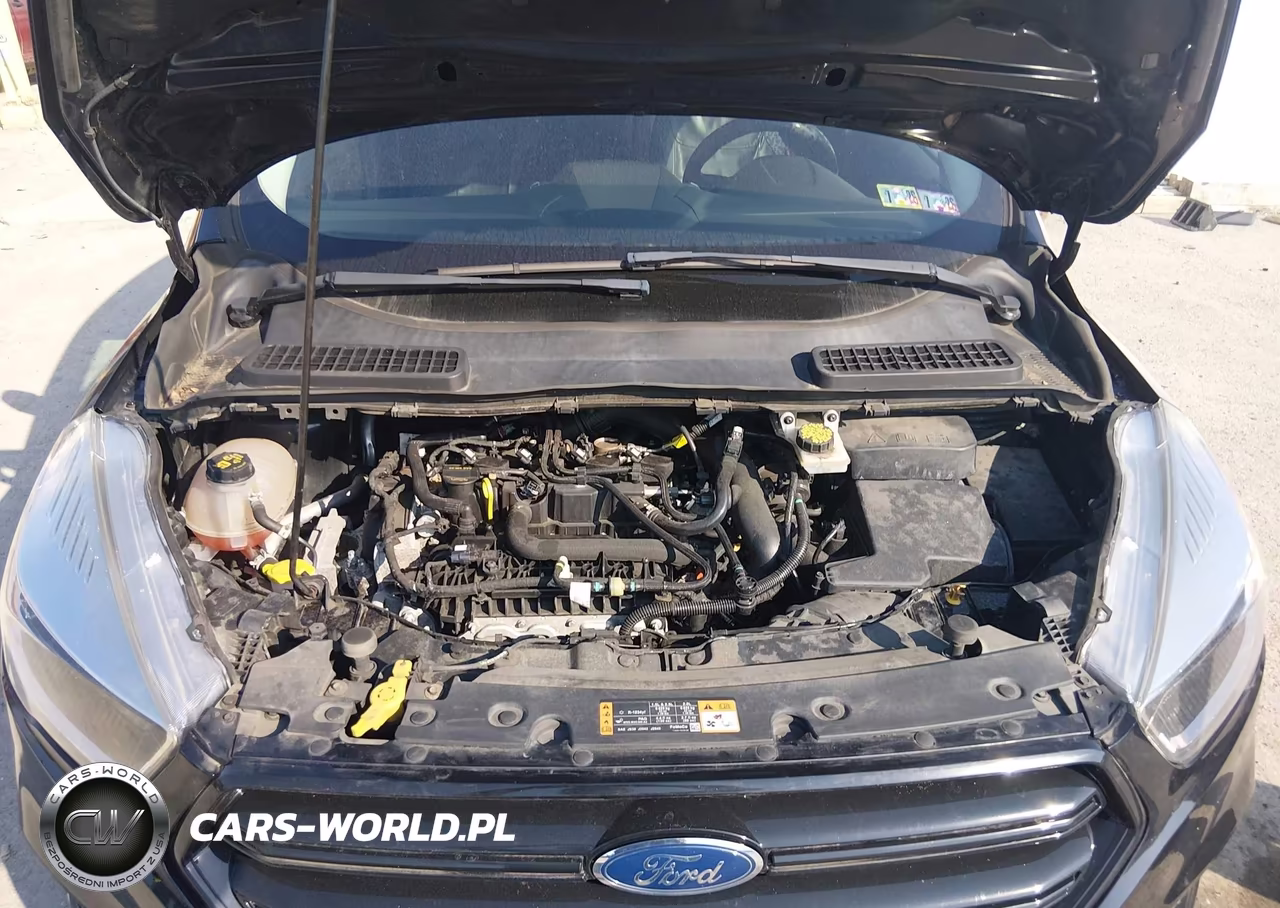 2019 Ford Escape Se VIN:1FMCU9GDXKUB76415 - 10