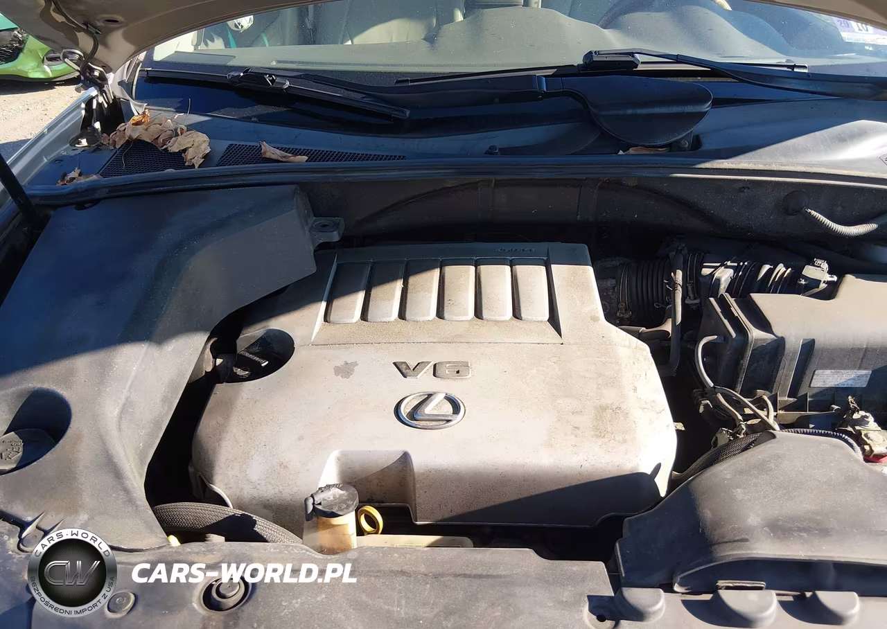 2007 Lexus Rx 350 VIN:2T2GK31U27C006129 - 10