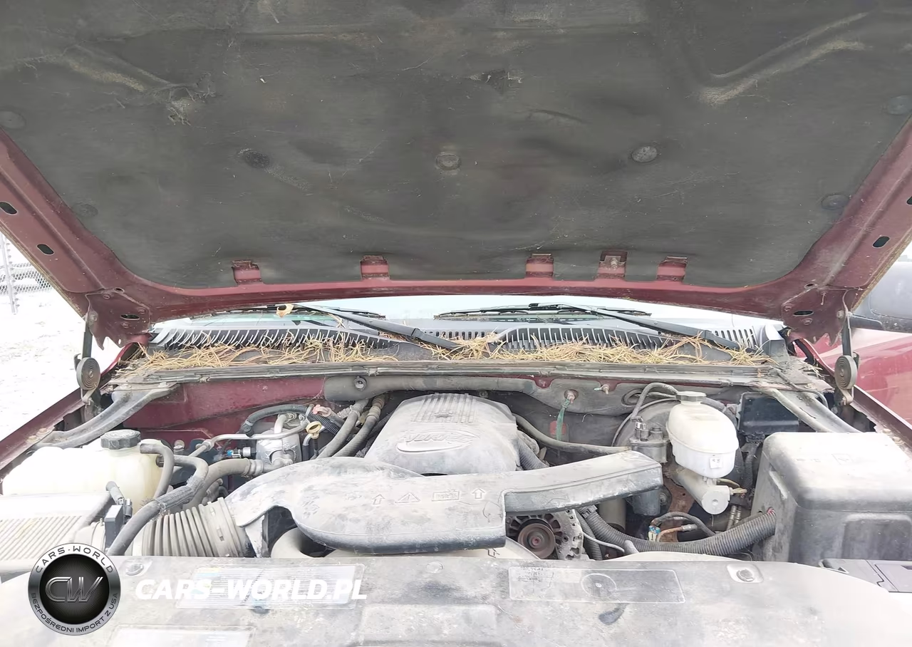 2003 Chevrolet Tahoe Ls VIN:1GNEK13Z33J131624 - 10
