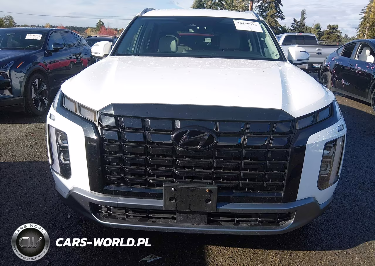 2025 Hyundai Palisade Sel VIN:KM8R2DGE7SU865145 - 13