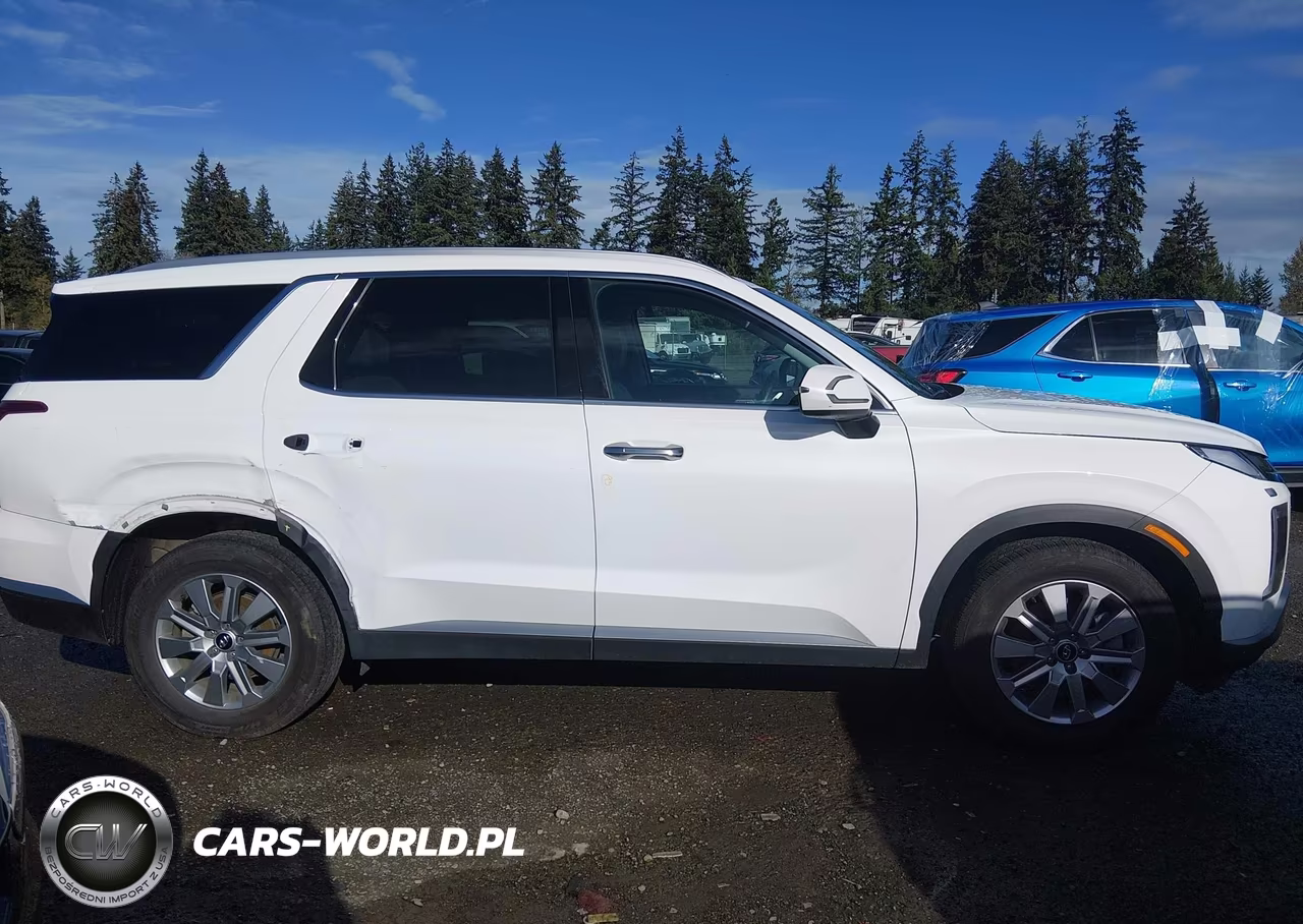 2025 Hyundai Palisade Sel VIN:KM8R2DGE7SU865145 - 14