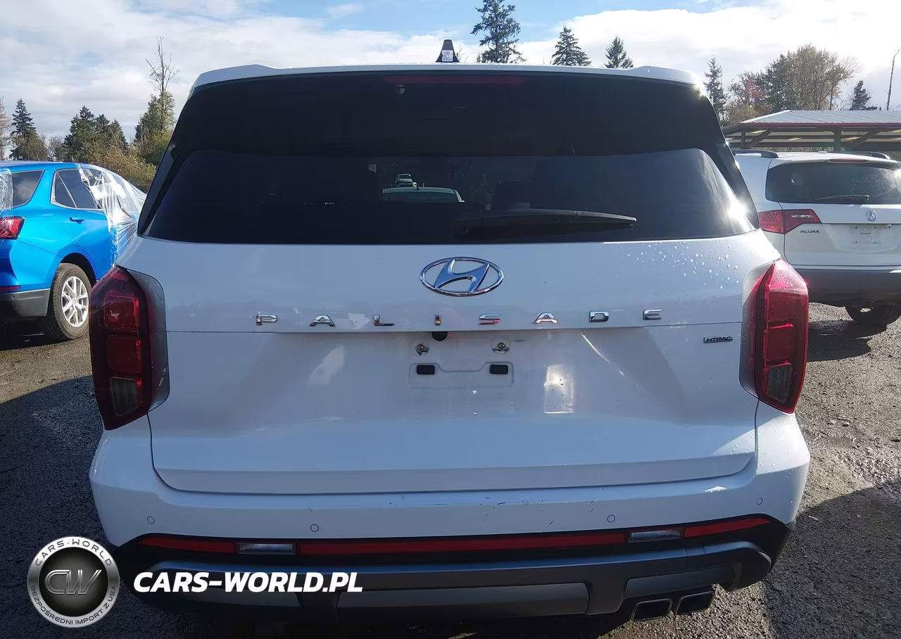2025 Hyundai Palisade Sel VIN:KM8R2DGE7SU865145 - 17