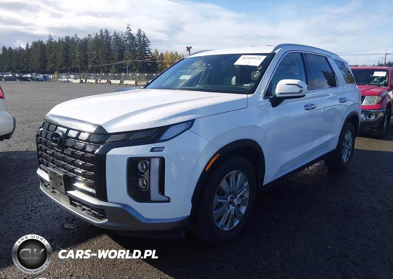 2025 Hyundai Palisade Sel VIN:KM8R2DGE7SU865145 - 2