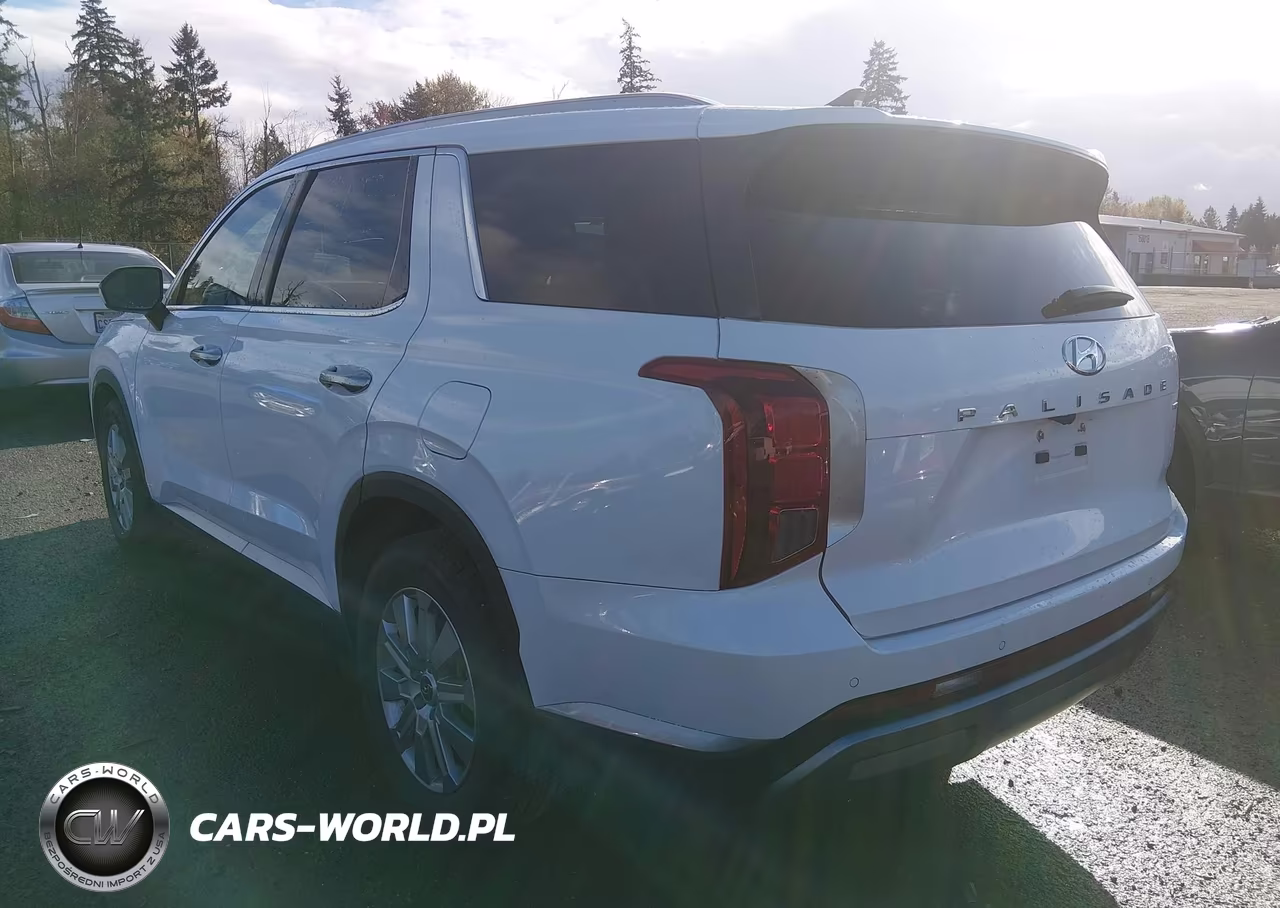 2025 Hyundai Palisade Sel VIN:KM8R2DGE7SU865145 - 3