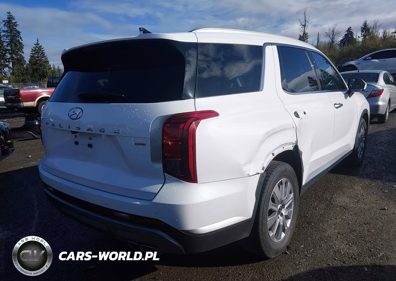 2025 Hyundai Palisade Sel VIN:KM8R2DGE7SU865145 - 4