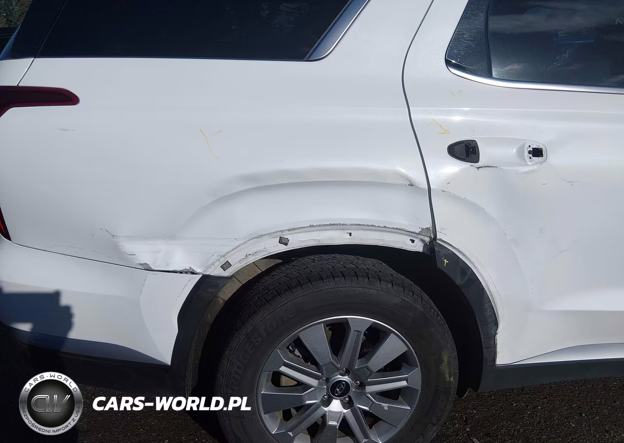 2025 Hyundai Palisade Sel VIN:KM8R2DGE7SU865145 - 6