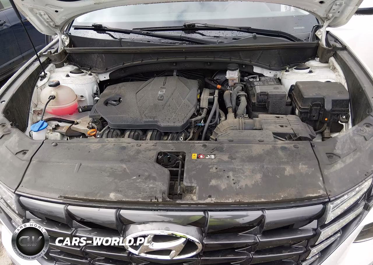 2023 Hyundai Tucson Se VIN:5NMJACAE1PH246529 - 10
