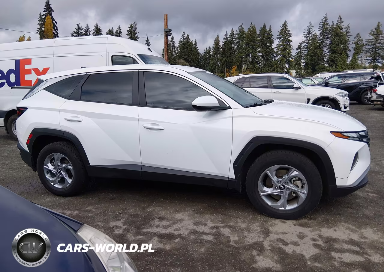 2023 Hyundai Tucson Se VIN:5NMJACAE1PH246529 - 13