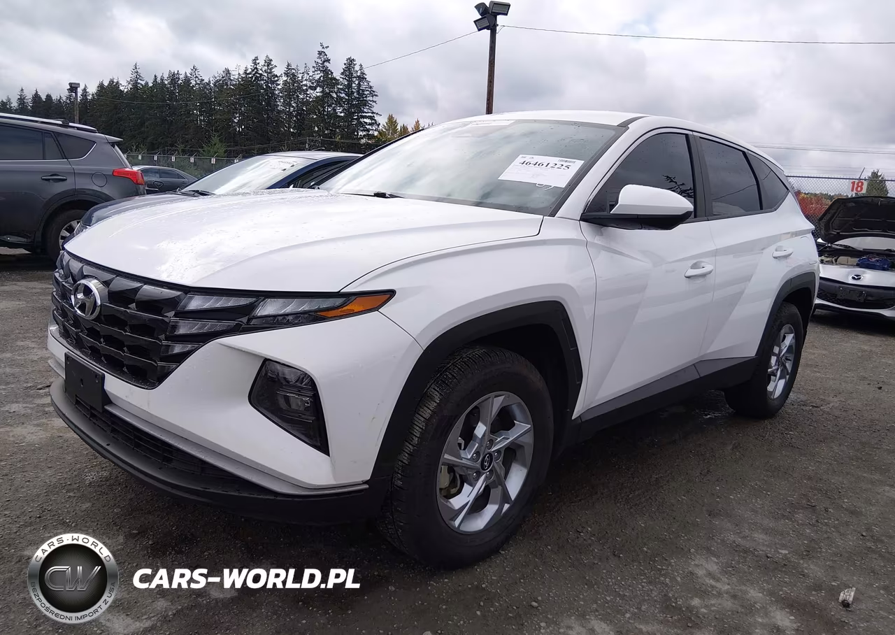 2023 Hyundai Tucson Se VIN:5NMJACAE1PH246529 - 2