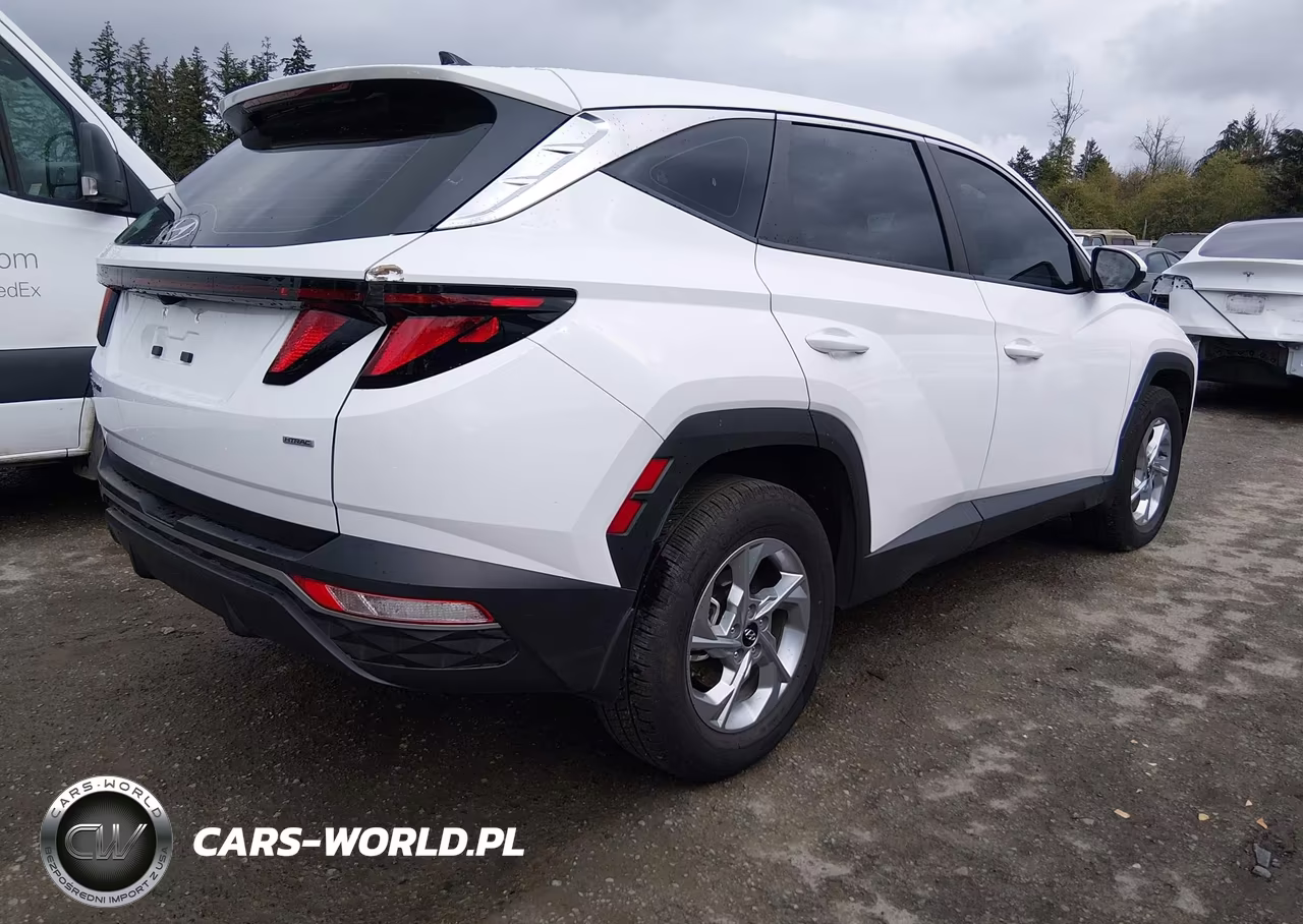 2023 Hyundai Tucson Se VIN:5NMJACAE1PH246529 - 4