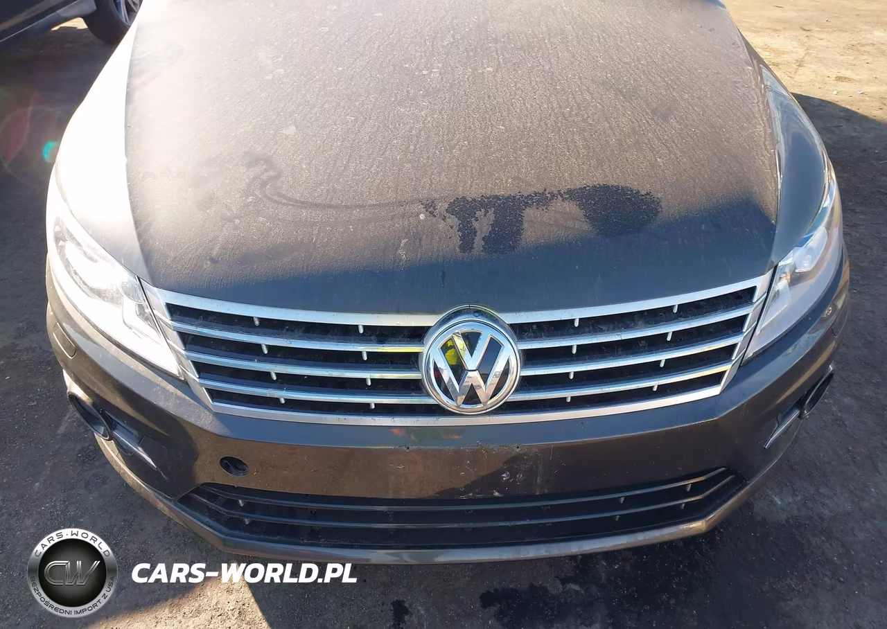 2014 Volkswagen Cc 2.0T Sport VIN:WVWBN7AN9EE539935 - 6