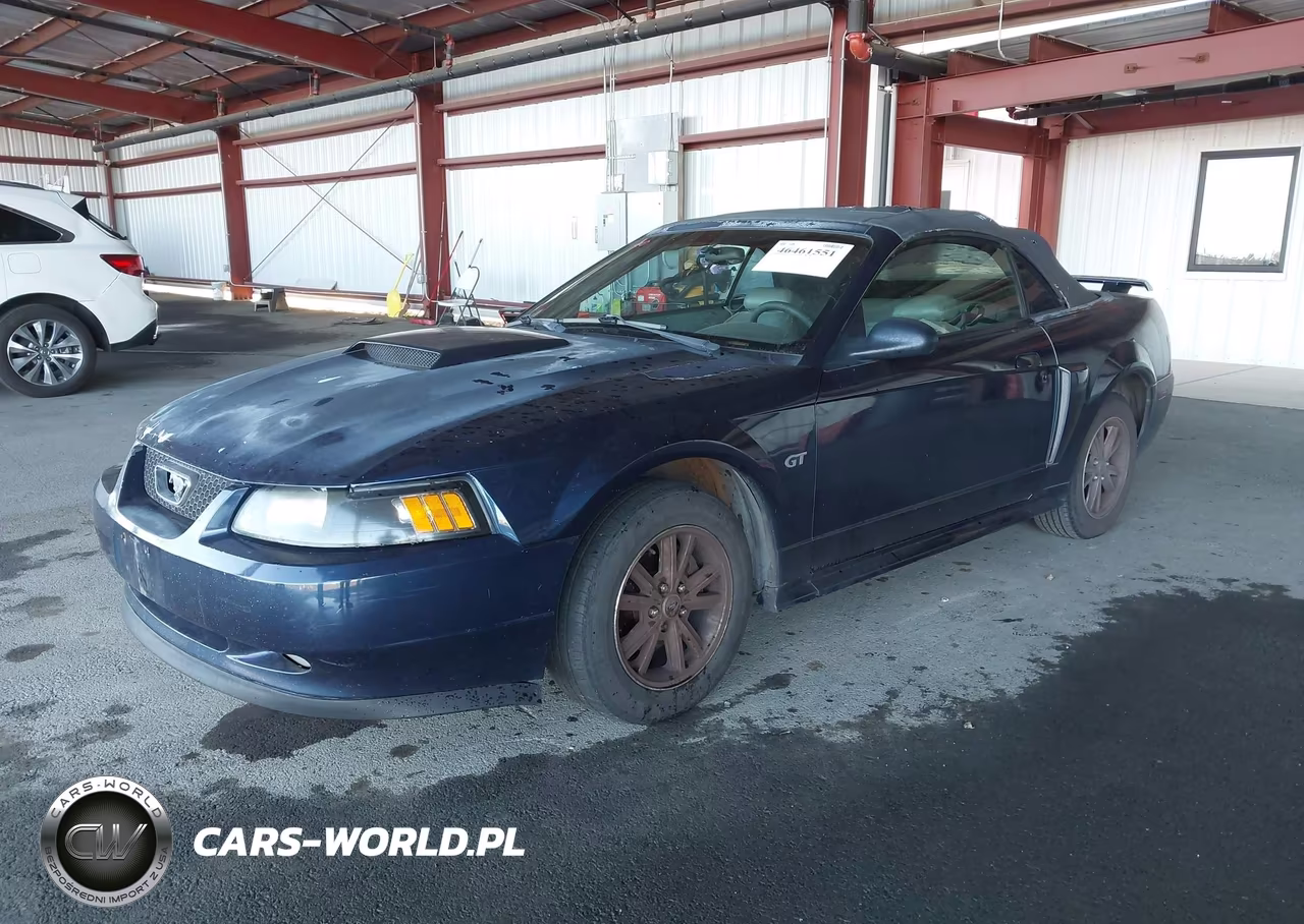 2002 Ford Mustang Gt VIN:1FAFP45X42F126922 - 2