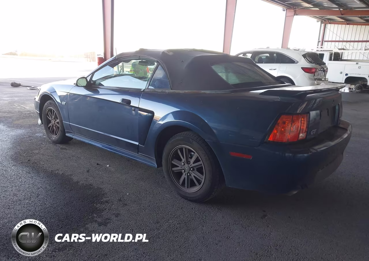 2002 Ford Mustang Gt VIN:1FAFP45X42F126922 - 3
