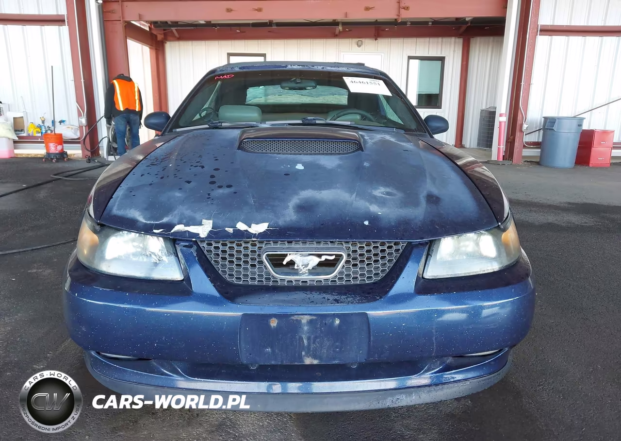 2002 Ford Mustang Gt VIN:1FAFP45X42F126922 - 6