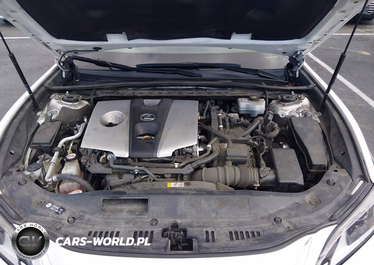 2020 Lexus Es 300H VIN:58AD21B11LU005104 - 10