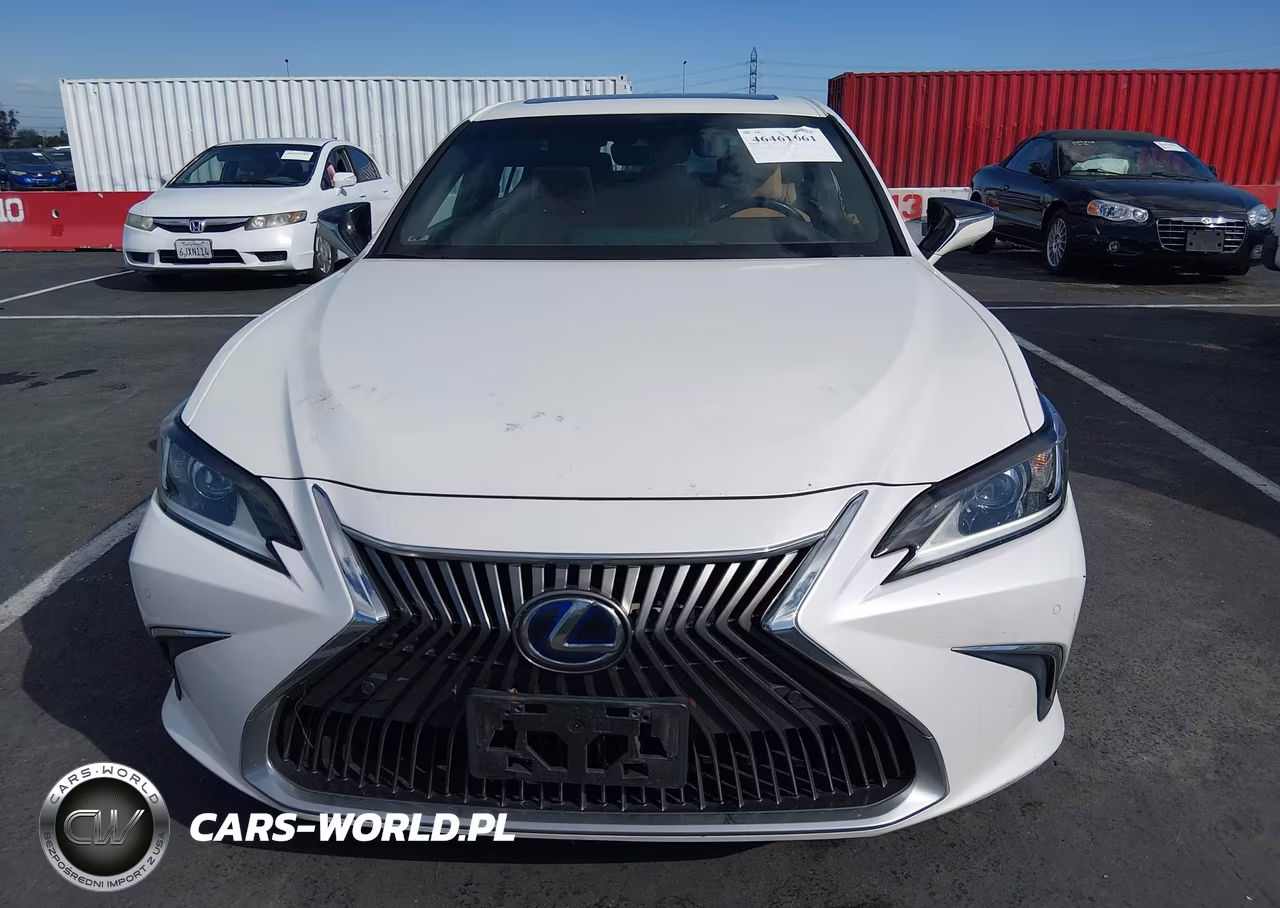 2020 Lexus Es 300H VIN:58AD21B11LU005104 - 12